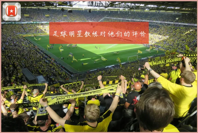 足球明星教练对他们的评价